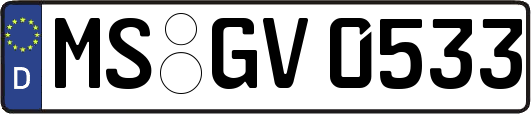 MS-GV0533