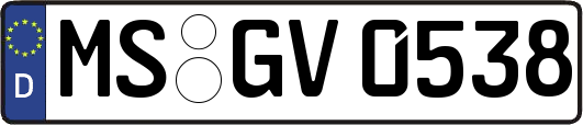 MS-GV0538