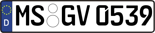 MS-GV0539