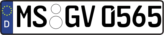 MS-GV0565