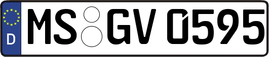 MS-GV0595