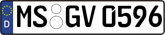 MS-GV0596
