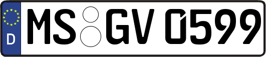 MS-GV0599