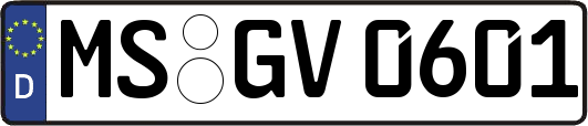 MS-GV0601