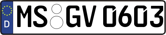MS-GV0603