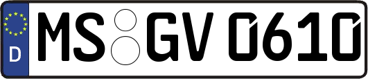 MS-GV0610