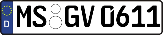 MS-GV0611