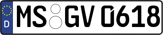 MS-GV0618