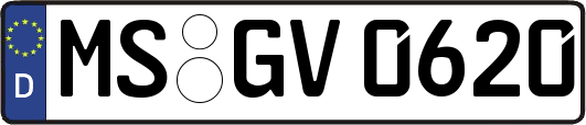 MS-GV0620