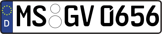 MS-GV0656