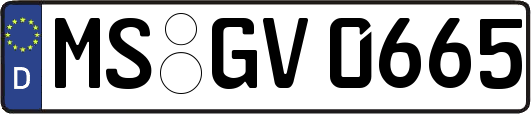 MS-GV0665