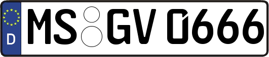 MS-GV0666