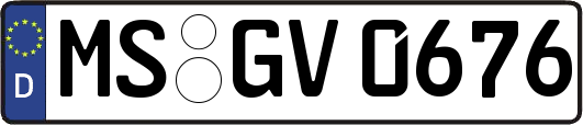 MS-GV0676