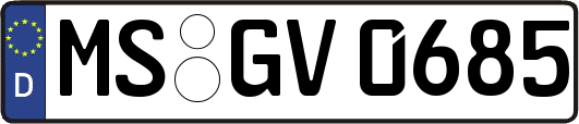MS-GV0685