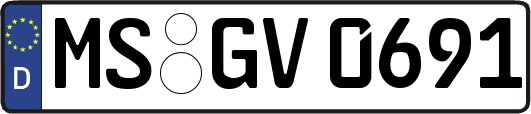 MS-GV0691