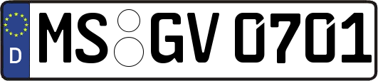 MS-GV0701