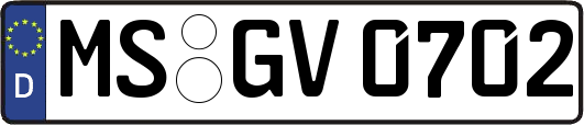 MS-GV0702