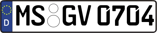 MS-GV0704