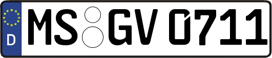 MS-GV0711