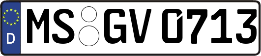 MS-GV0713