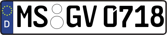MS-GV0718