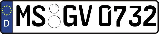 MS-GV0732