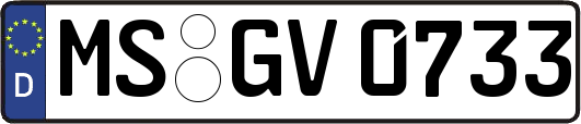MS-GV0733