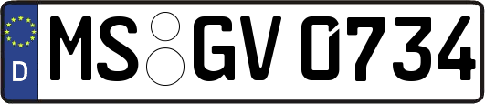 MS-GV0734