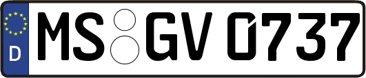MS-GV0737