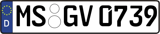 MS-GV0739