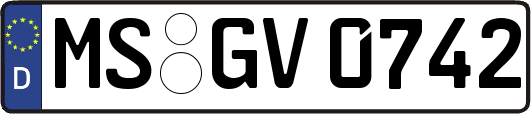 MS-GV0742