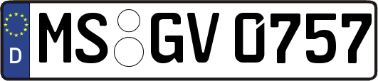MS-GV0757