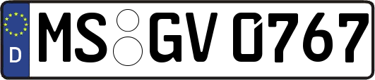 MS-GV0767