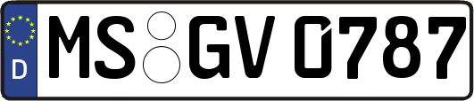 MS-GV0787