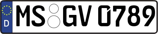 MS-GV0789