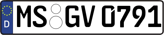 MS-GV0791