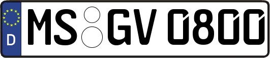 MS-GV0800