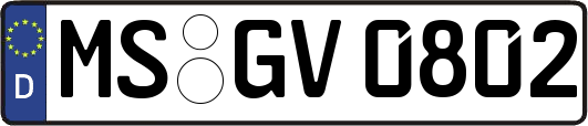 MS-GV0802