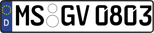 MS-GV0803