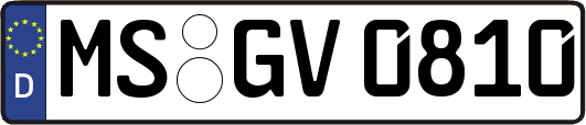 MS-GV0810