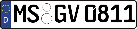 MS-GV0811