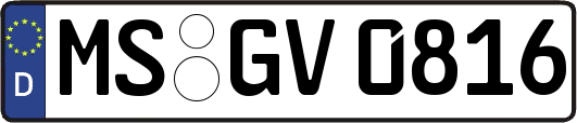 MS-GV0816