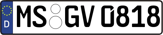 MS-GV0818