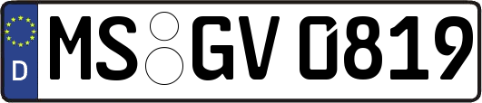 MS-GV0819
