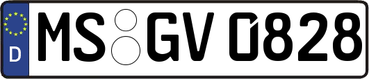 MS-GV0828