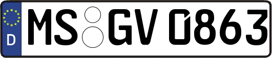 MS-GV0863