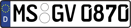 MS-GV0870