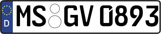 MS-GV0893
