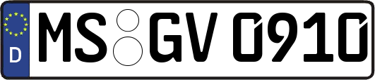 MS-GV0910