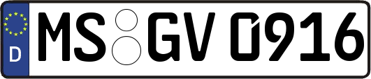 MS-GV0916